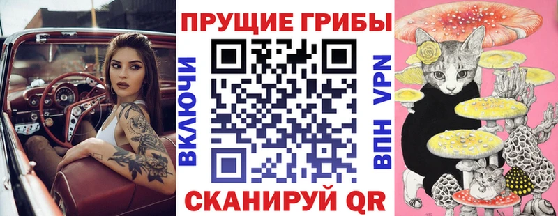 Галлюциногенные грибы GOLDEN TEACHER  гидра зеркало  Пестово 